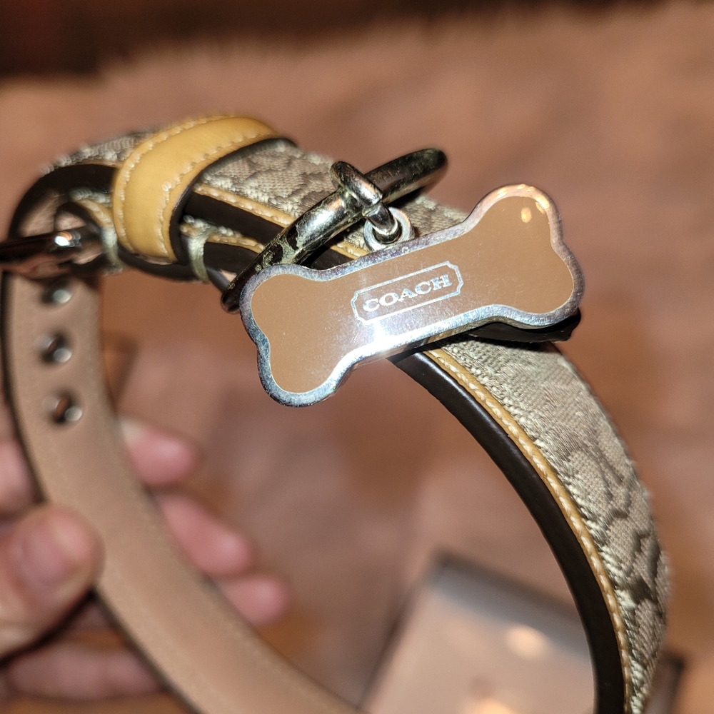 Small Coach Dog Collar Brand New in Box